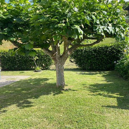 Moradia Rustica Jardim Villa Caloura Eksteriør billede