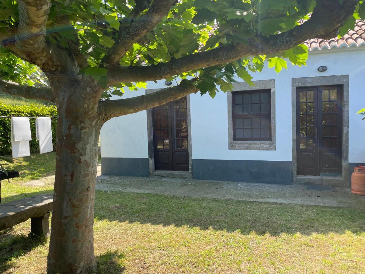 Moradia Rustica Jardim Villa Caloura Eksteriør billede